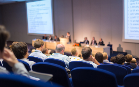 Pubblico a una conferenza